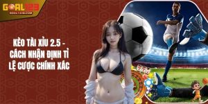 Kèo Tài Xỉu 2.5 - Cách Nhận Định Tỉ Lệ Cược Chính Xác
