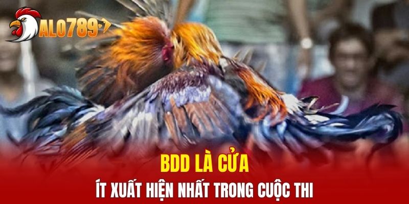 BDD là cửa ít xuất hiện nhất trong cuộc thi