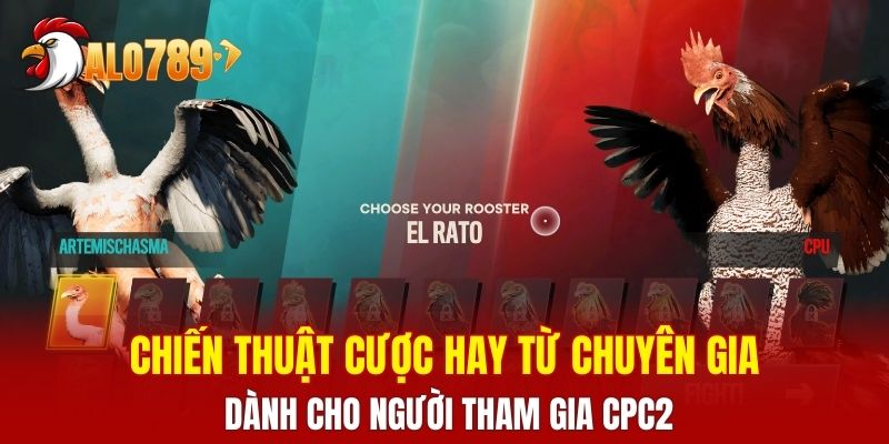 Chiến thuật cược hay từ chuyên gia dành cho người tham gia CPC2