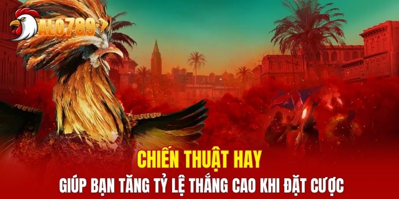 Chiến thuật hay giúp bạn tăng tỷ lệ thắng cao khi đặt cược