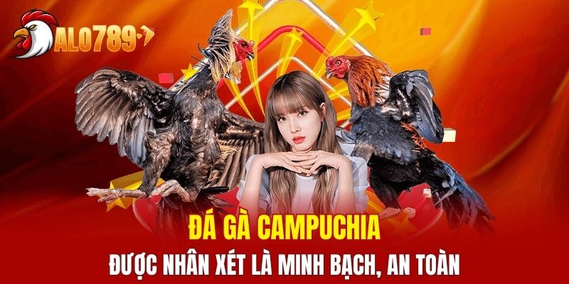 Đá gà Campuchia được nhân xét là minh bạch, an toàn