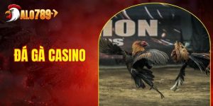Đá Gà Casino ALO789 - Nơi Có Hàng 100 Giải Đấu Hàng Ngày