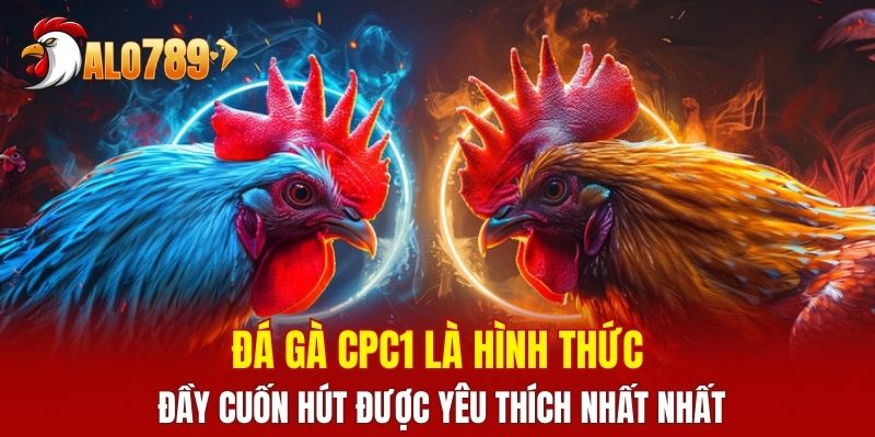 Đá gà CPC1 là hình thức đầy cuốn hút được yêu thích nhất nhất