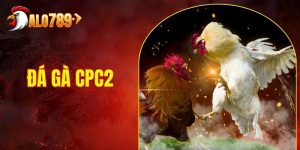 Đá Gà CPC2 - Hình Thức Cược Hấp Dẫn, Đầy Thú Vị Tại ALO789