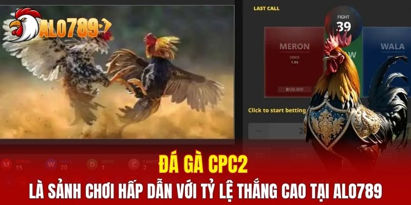 Đá gà CPC2 là sảnh chơi hấp dẫn với tỷ lệ thắng cao tại ALO789