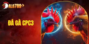 Đá Gà CPC3 - Đặt Cược Đá Gà Trực Tiếp Với Tỷ Lệ Thắng Cao