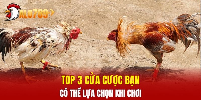 Top 3 cửa cược bạn có thể lựa chọn khi chơi