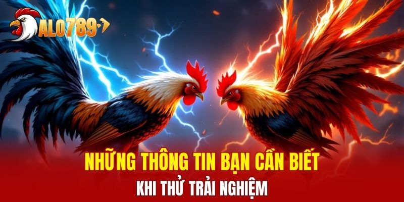Những thông tin bạn cần biết khi thử trải nghiệm