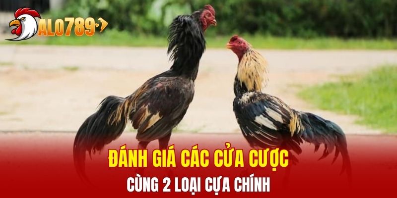Đánh giá các cửa cược cùng 2 loại cựa chính