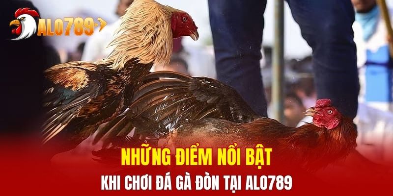 Chơi đá gà trên nền tảng chất lượng cao