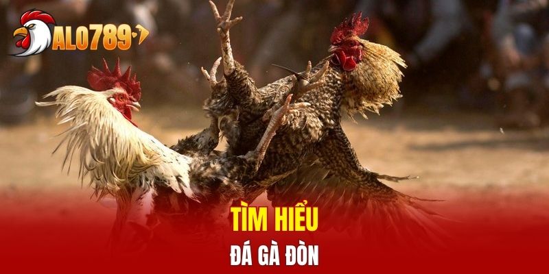 Giới thiệu về đá gà đòn