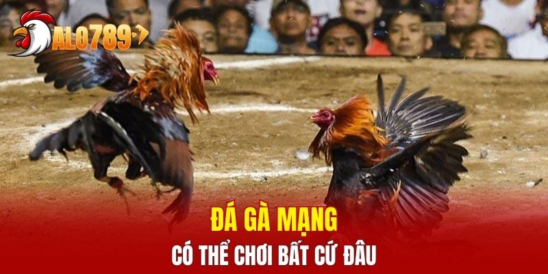 Đá gà mạng có thể chơi bất cứ đâu