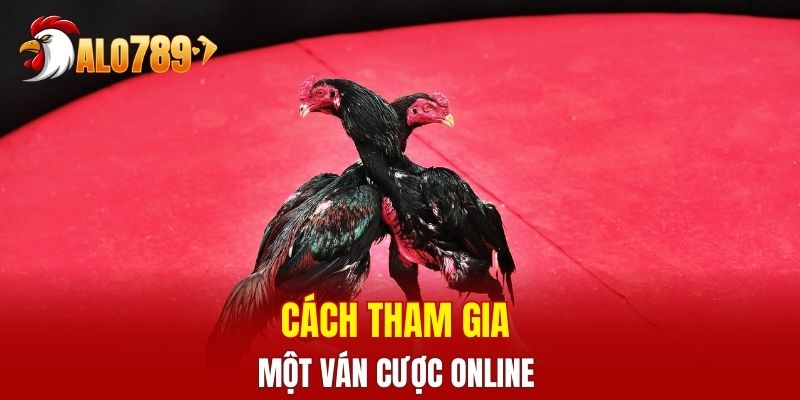 Cách tham gia một ván cược online 