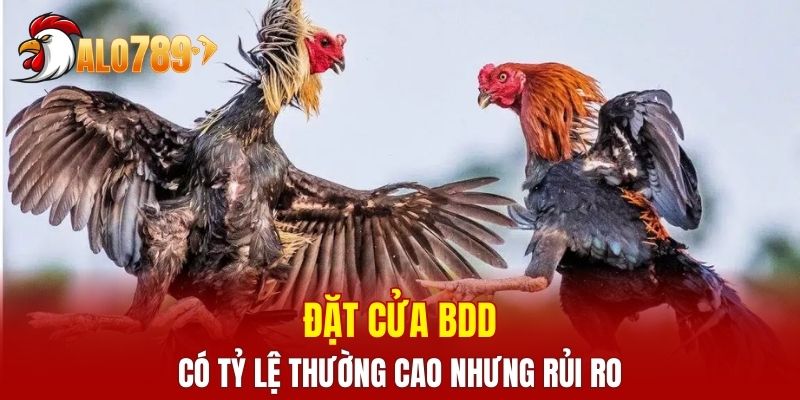 Đặt cửa BDD có tỷ lệ thường cao nhưng rủi ro