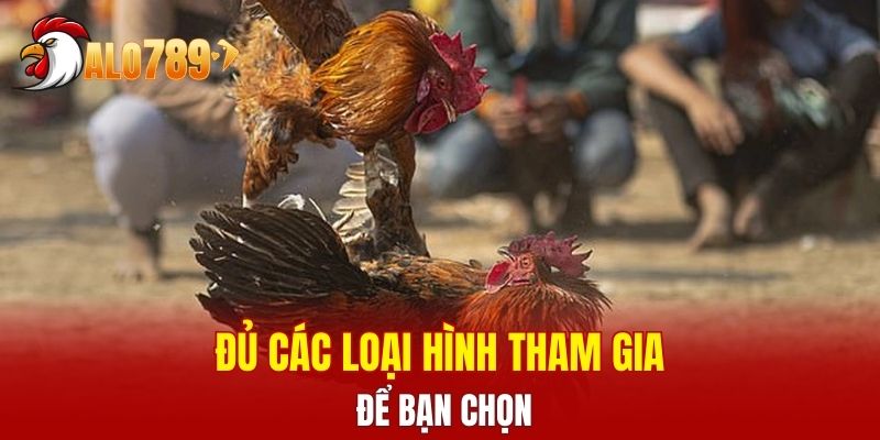 Đủ các loại hình tham gia chiến đấu để bạn chọn