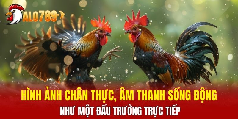 Hình ảnh chân thực, âm thanh sống động như một đấu trường trực tiếp