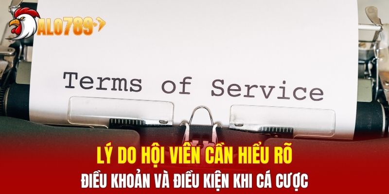 Lý do hội viên cần hiểu rõ điều khoản và điều kiện khi cá cược