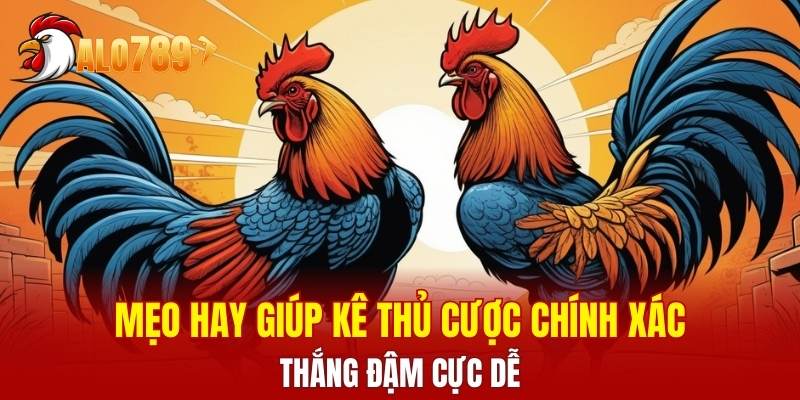 Mẹo hay giúp kê thủ cược chính xác, thắng đậm cực dễ