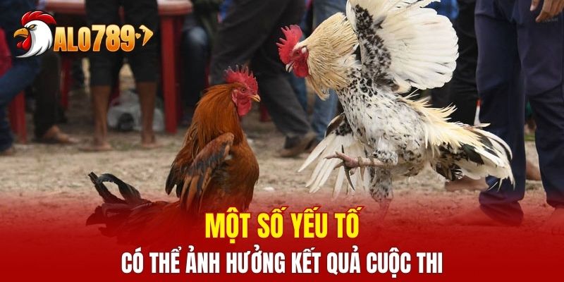 Một số yếu tố có thể ảnh hưởng kết quả cuộc thi