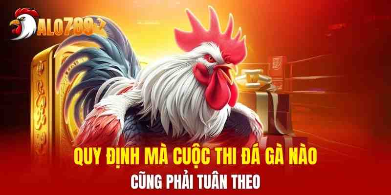 Quy định mà cuộc thi đá gà nào cũng phải tuân theo